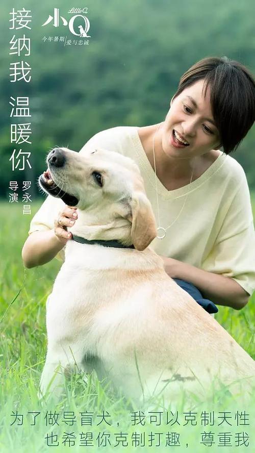 做假森林湖学院文凭